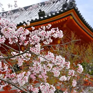 アパートホテル Sakura 祇園北, 京都市
