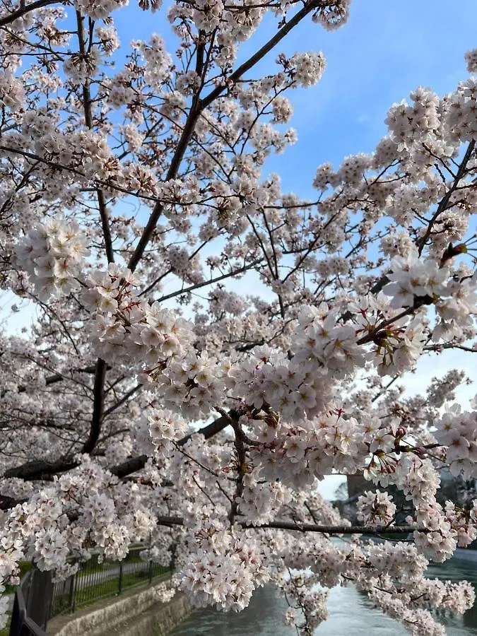 *** Hotel Rinn Niomon Kyoto Japon